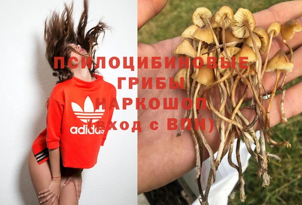 2c-b Майский